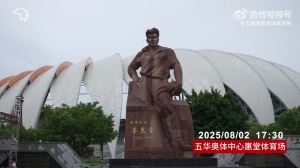  【比赛日Vlog】中超联赛第19轮：梅州客家2比4上海海港